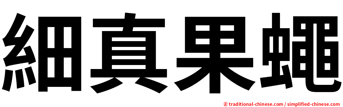 細真果蠅