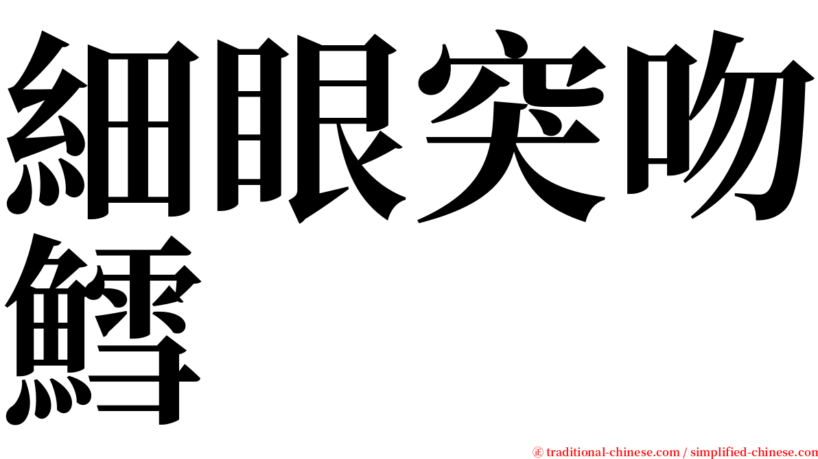 細眼突吻鱈 serif font