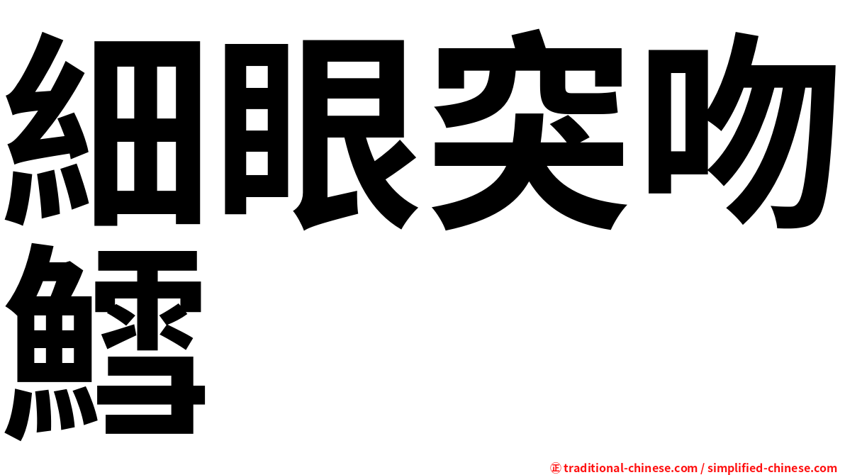 細眼突吻鱈