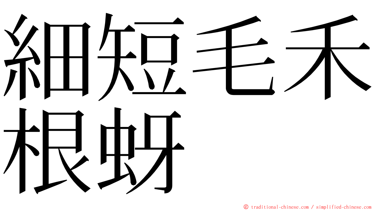 細短毛禾根蚜 ming font