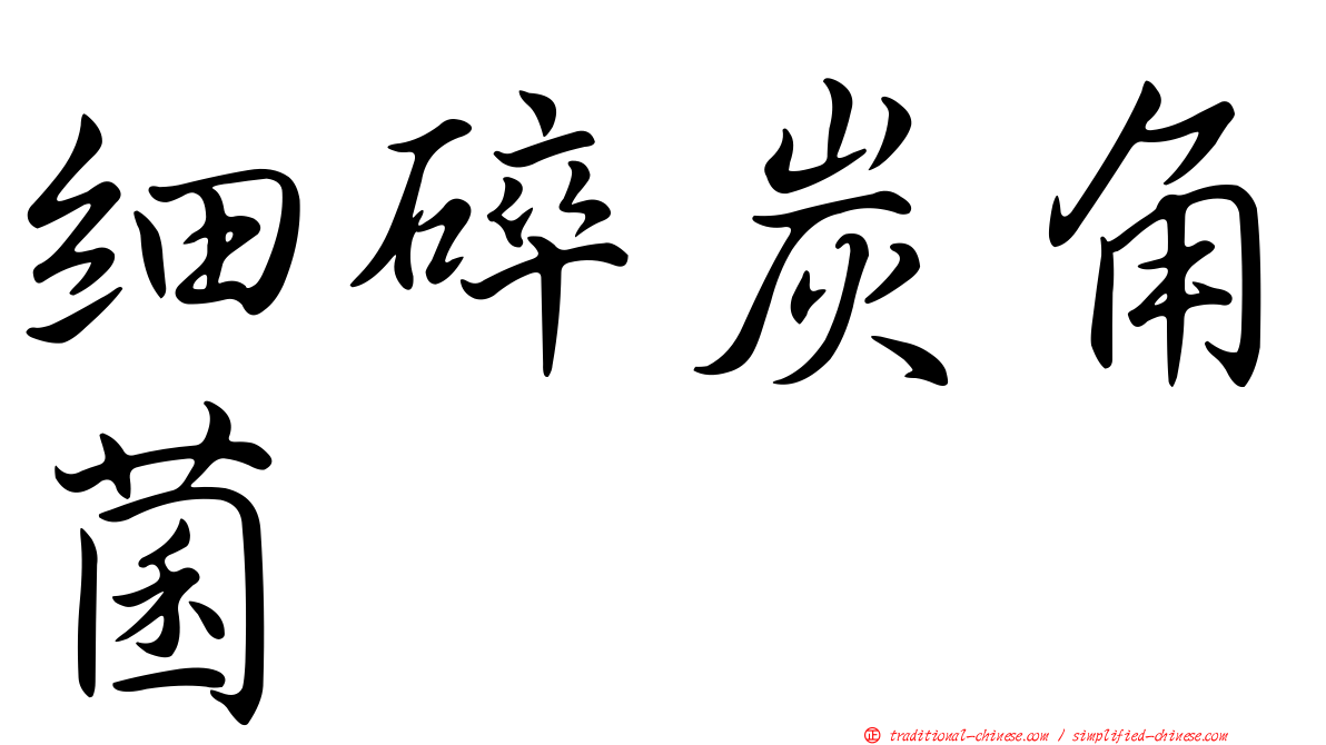 細碎炭角菌
