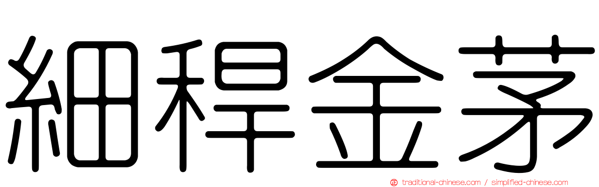 細稈金茅