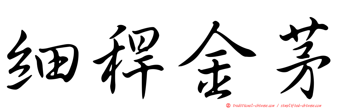 細稈金茅
