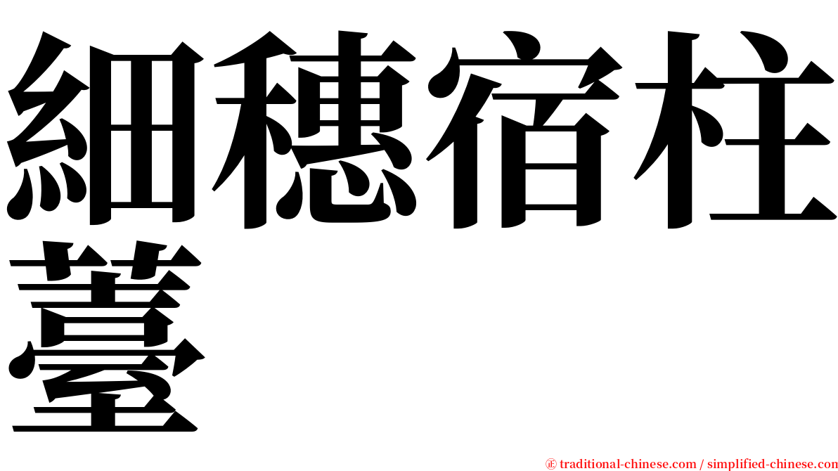 細穗宿柱薹 serif font