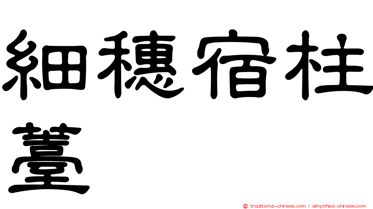 細穗宿柱薹