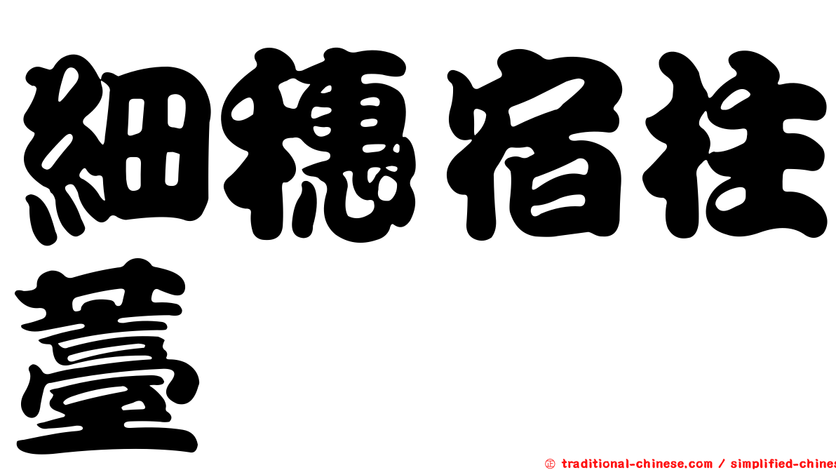 細穗宿柱薹
