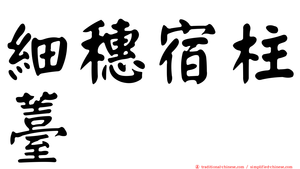細穗宿柱薹