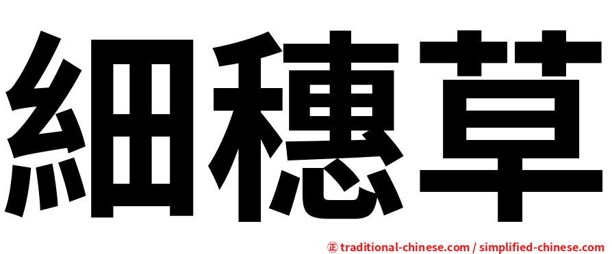 細穗草