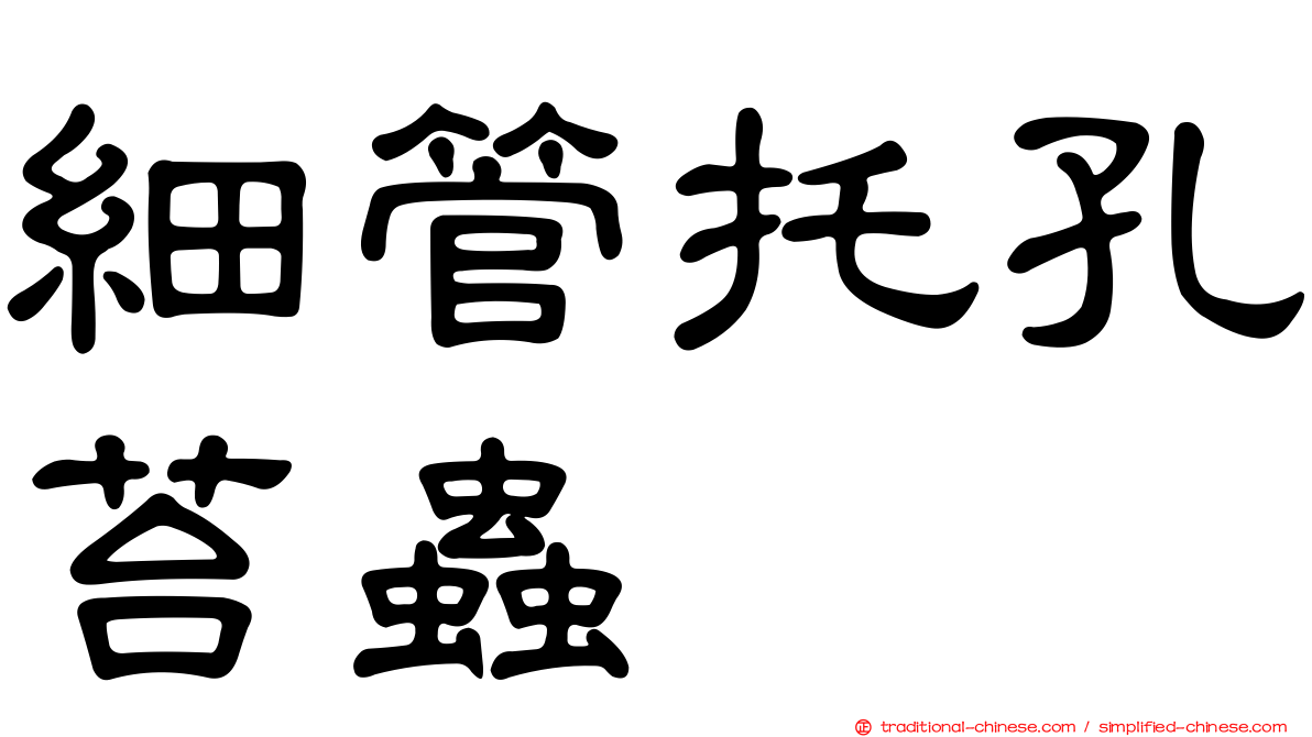 細管托孔苔蟲