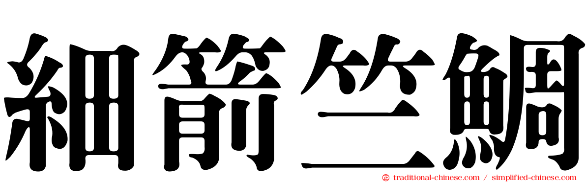 細箭竺鯛