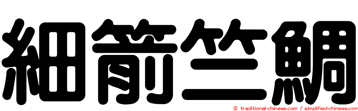 細箭竺鯛