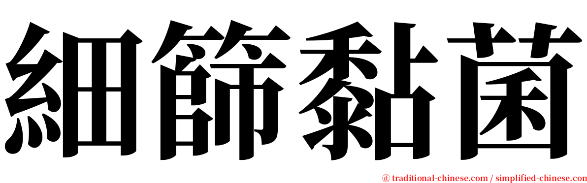 細篩黏菌 serif font