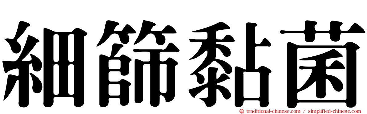 細篩黏菌