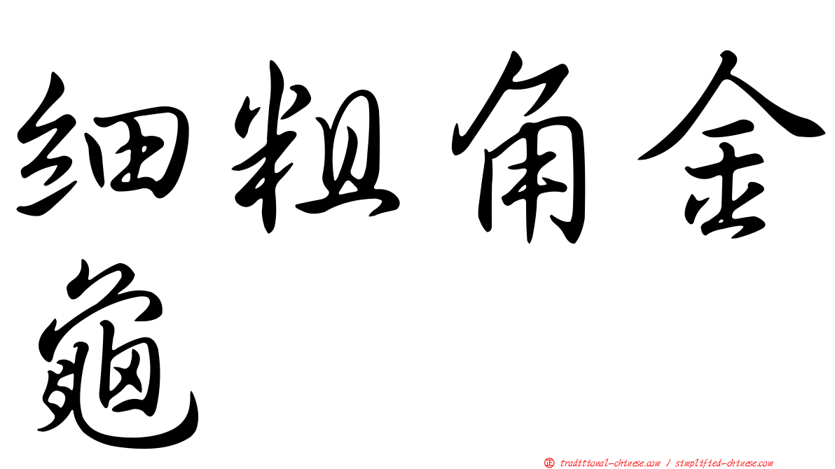 細粗角金龜