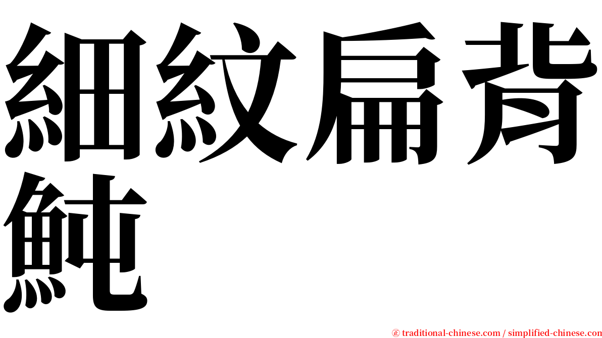 細紋扁背魨 serif font
