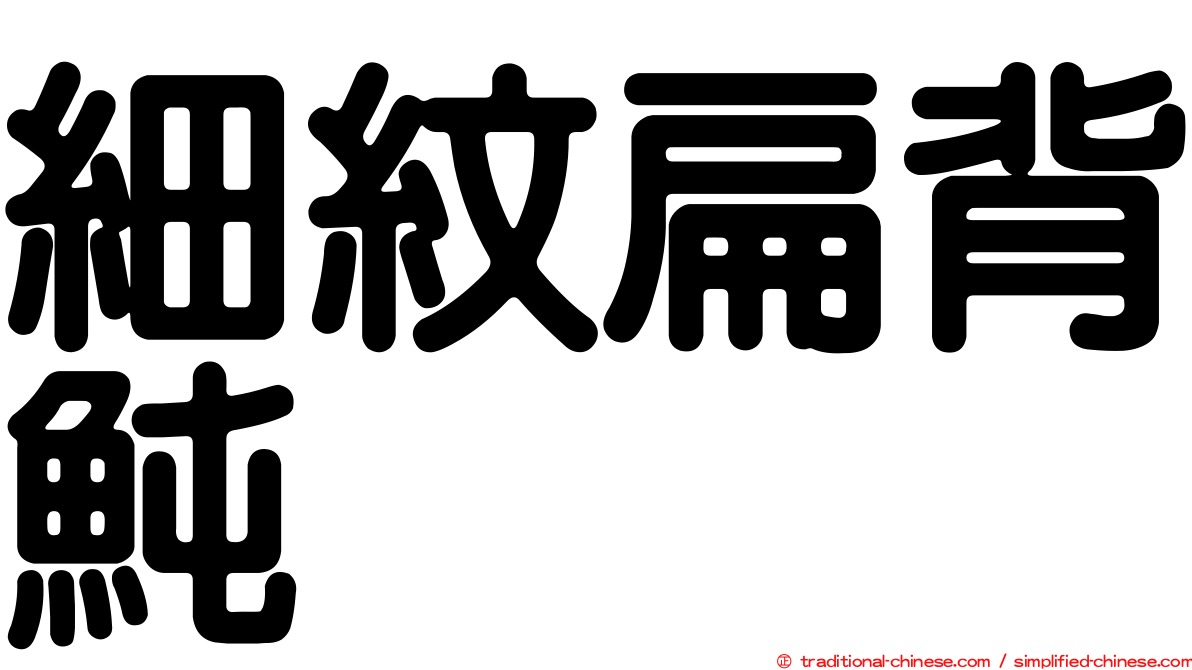 細紋扁背魨