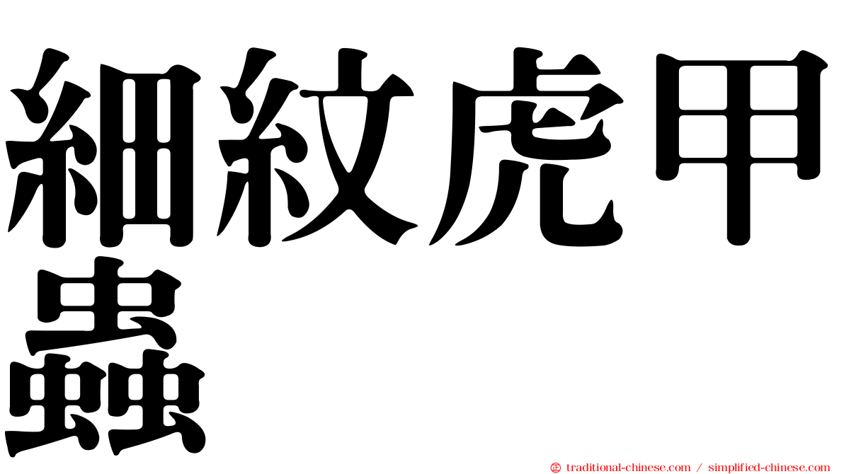細紋虎甲蟲