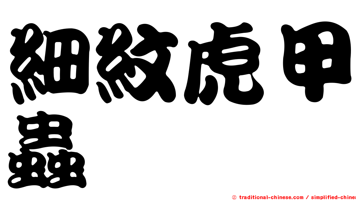 細紋虎甲蟲