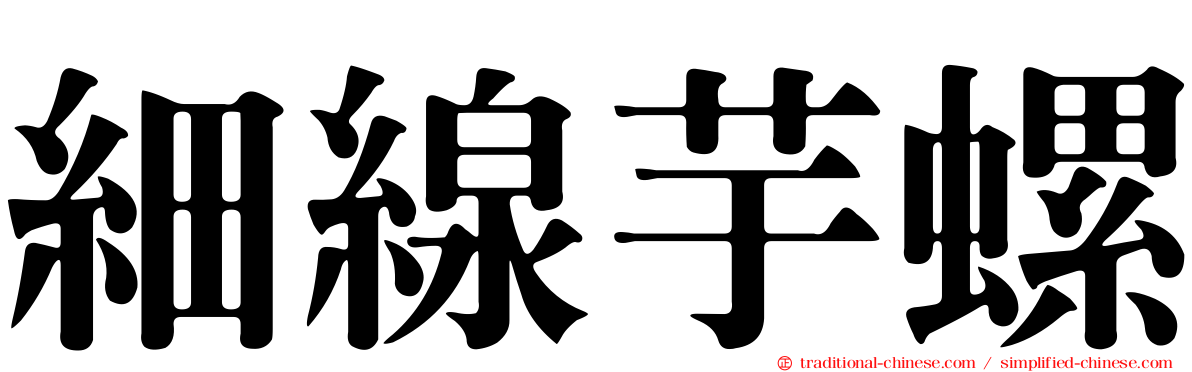 細線芋螺