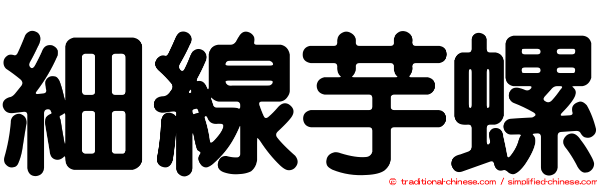 細線芋螺