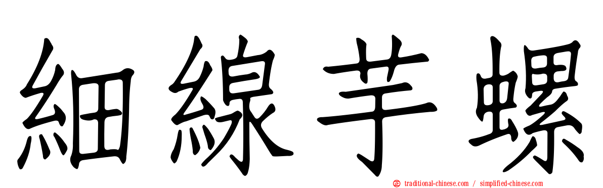 細線芋螺