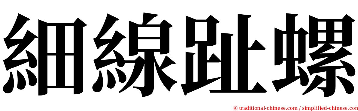 細線趾螺 serif font