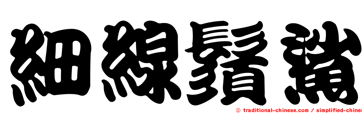 細線鬚鯊