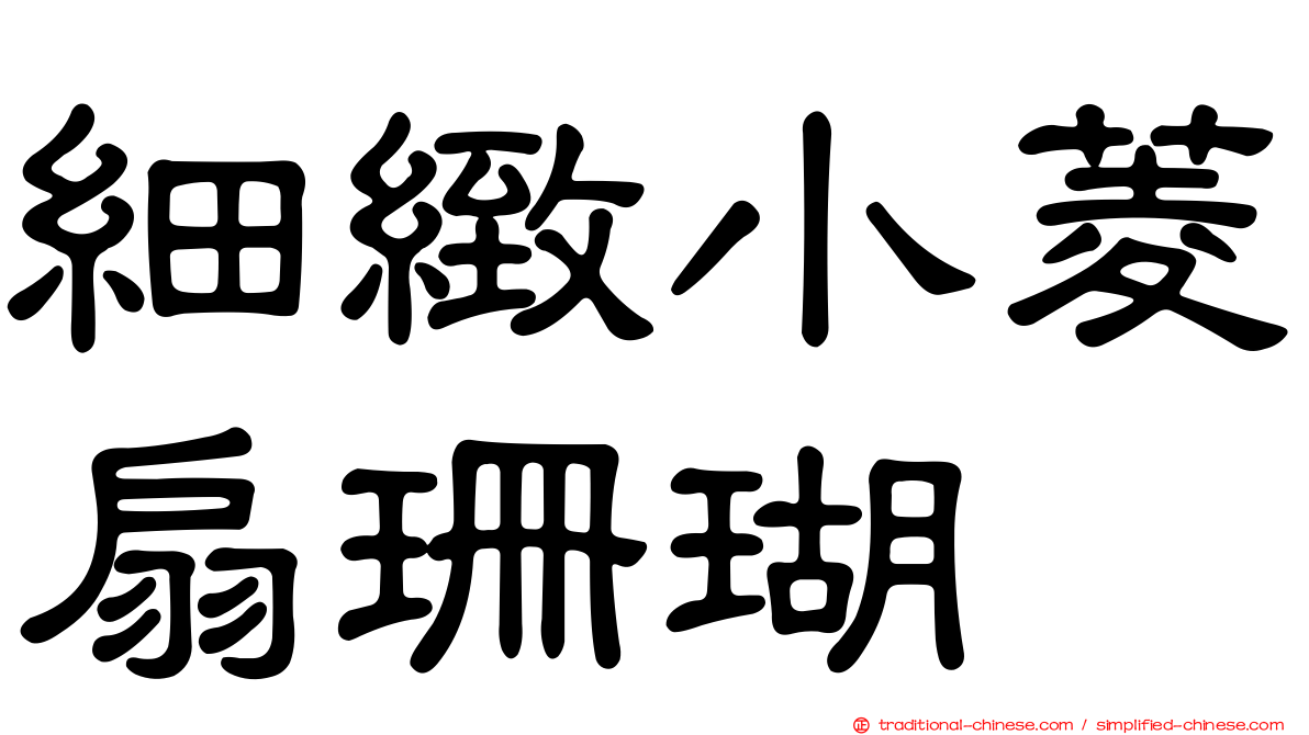 細緻小菱扇珊瑚