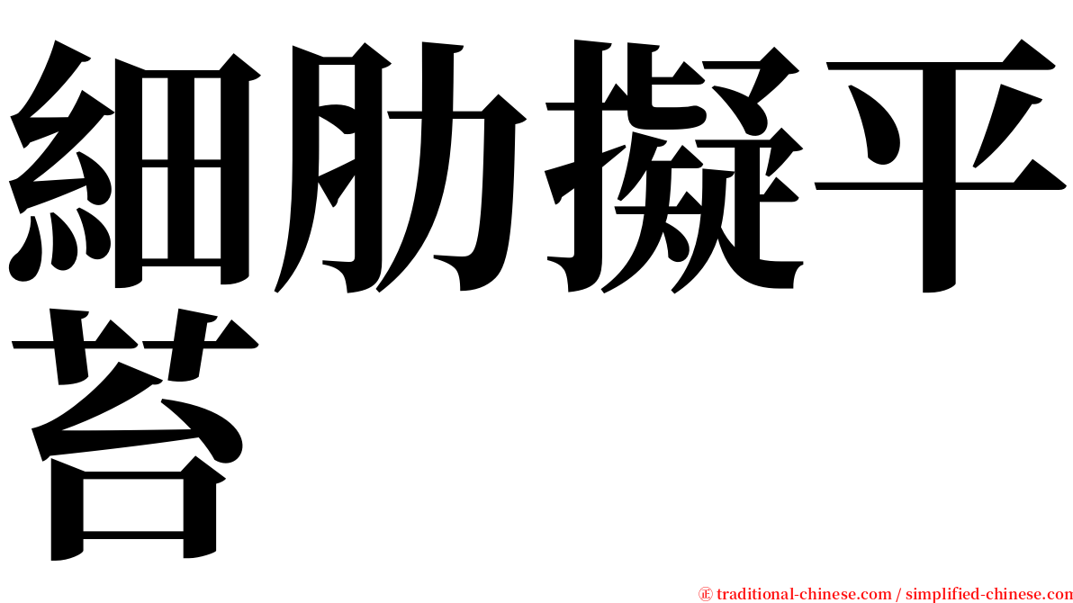 細肋擬平苔 serif font