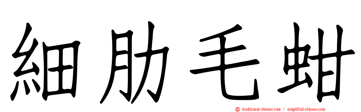 細肋毛蚶
