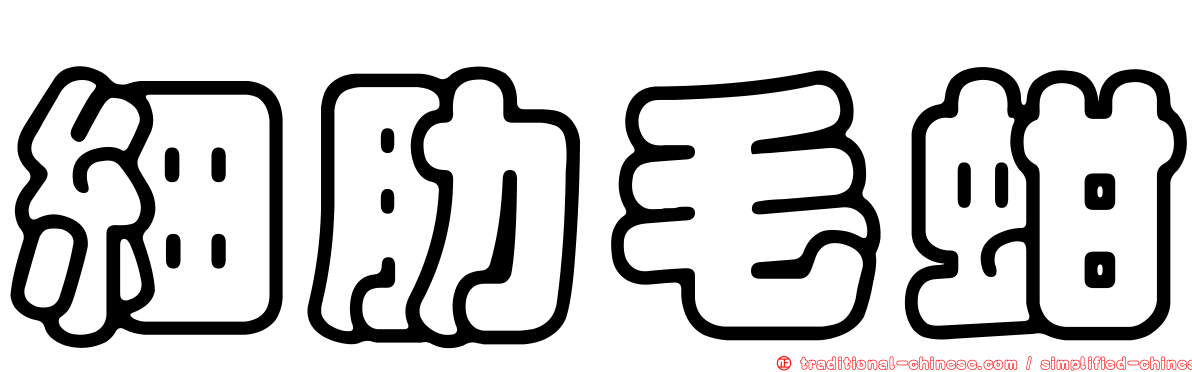 細肋毛蚶