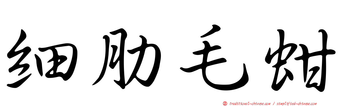 細肋毛蚶