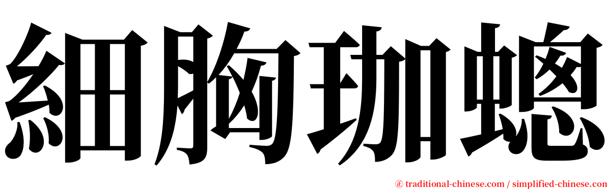 細胸珈蟌 serif font