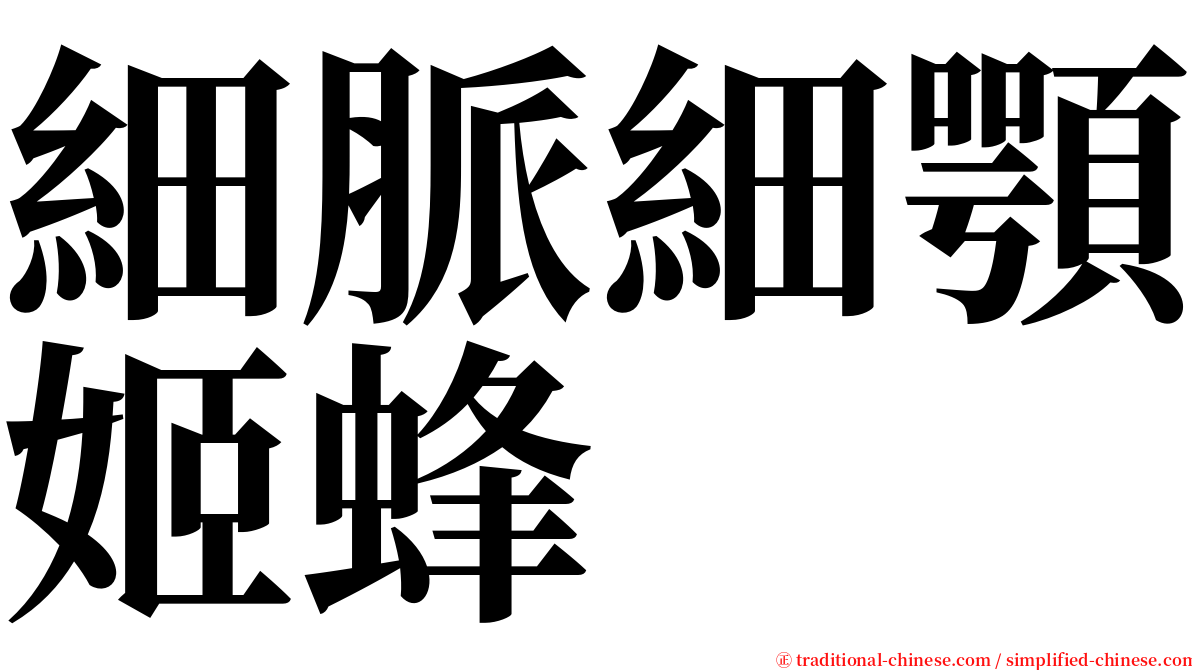 細脈細顎姬蜂 serif font