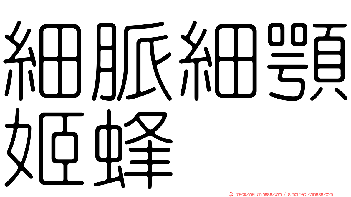 細脈細顎姬蜂