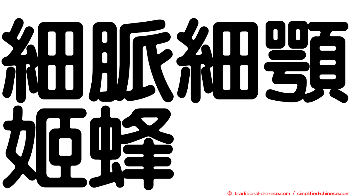 細脈細顎姬蜂