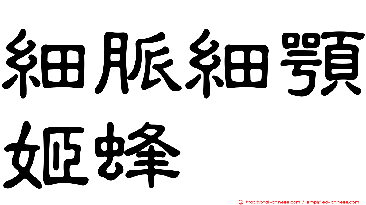 細脈細顎姬蜂