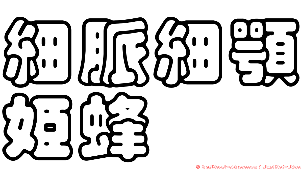 細脈細顎姬蜂