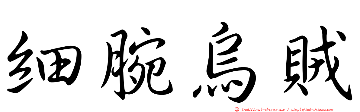 細腕烏賊
