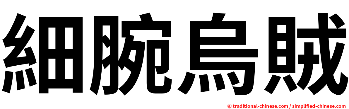 細腕烏賊