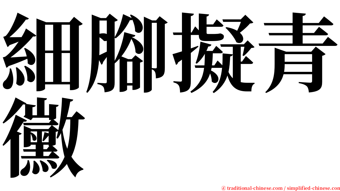 細腳擬青黴 serif font