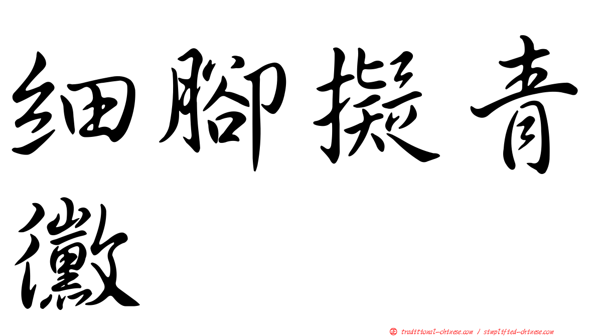 細腳擬青黴