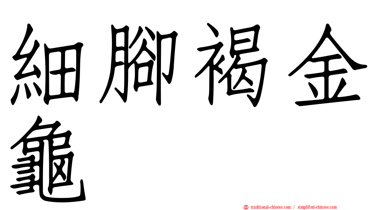 細腳褐金龜