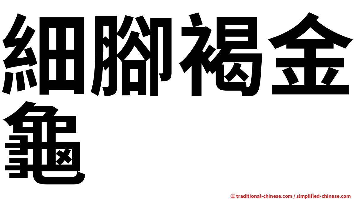 細腳褐金龜