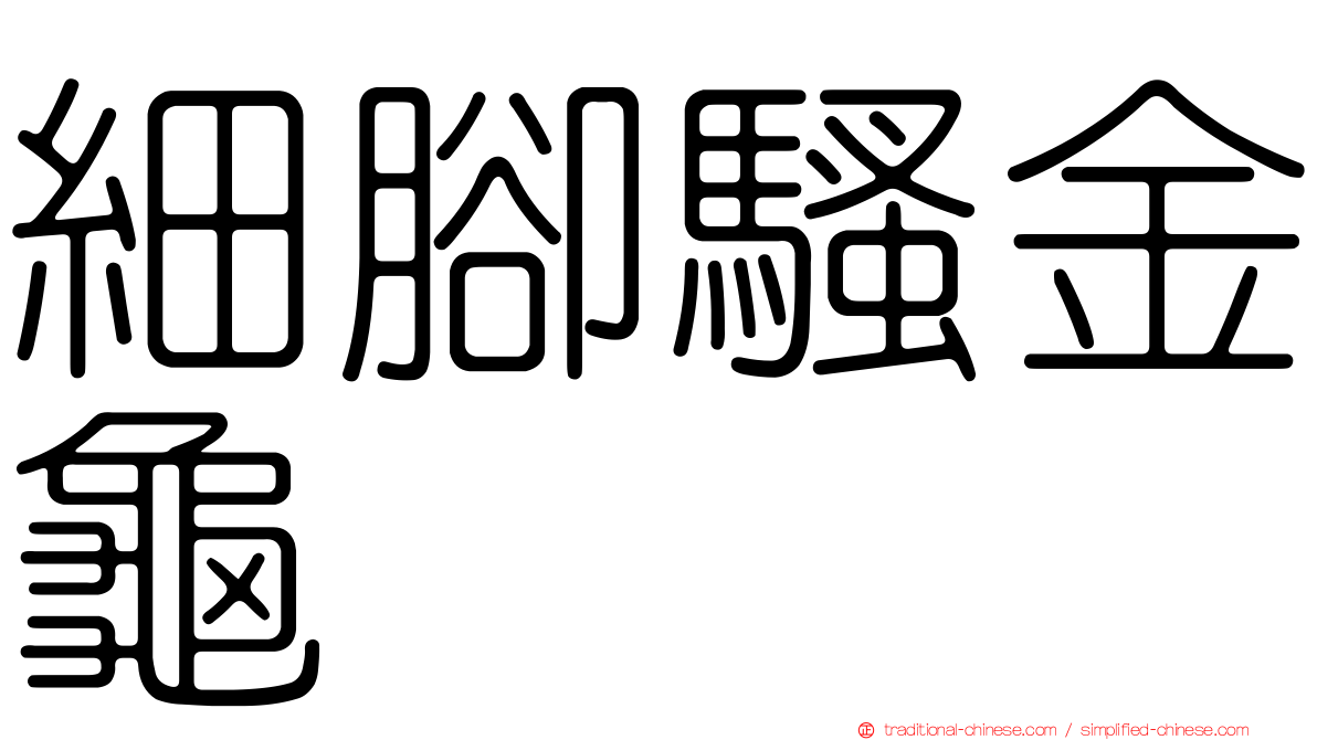 細腳騷金龜