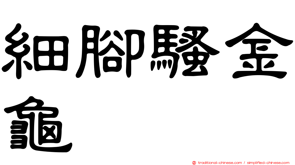 細腳騷金龜