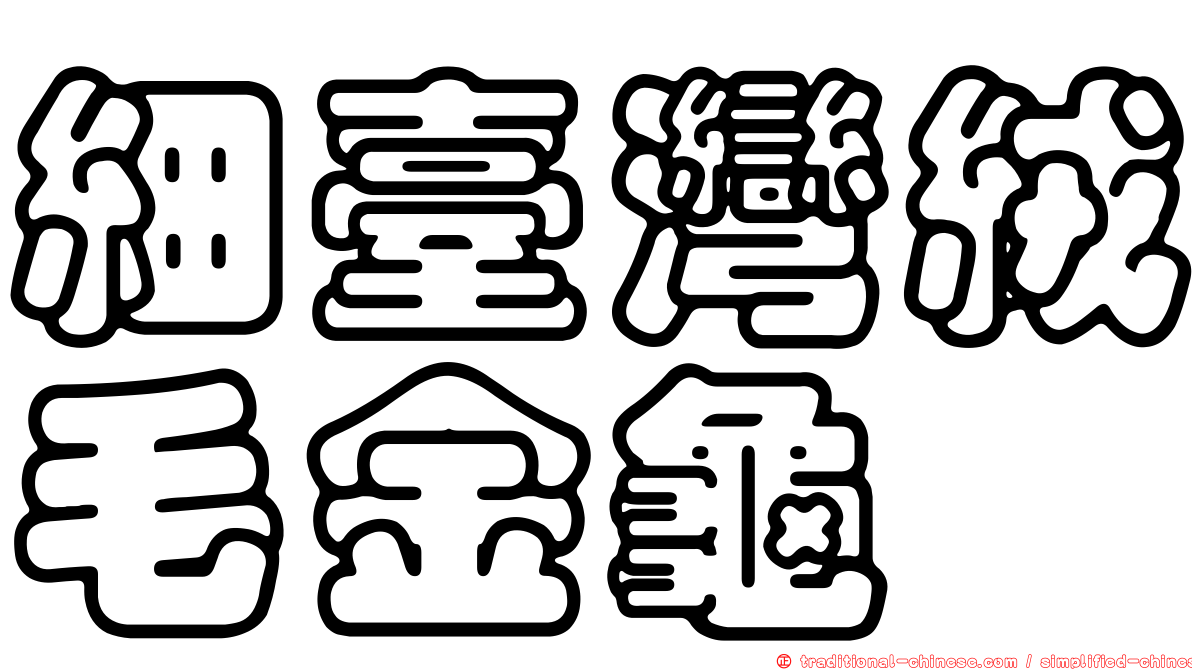 細臺灣絨毛金龜