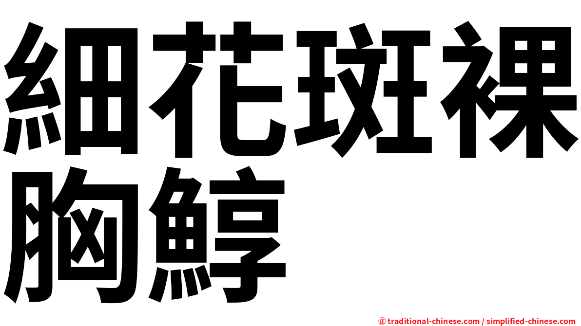 細花斑裸胸鯙