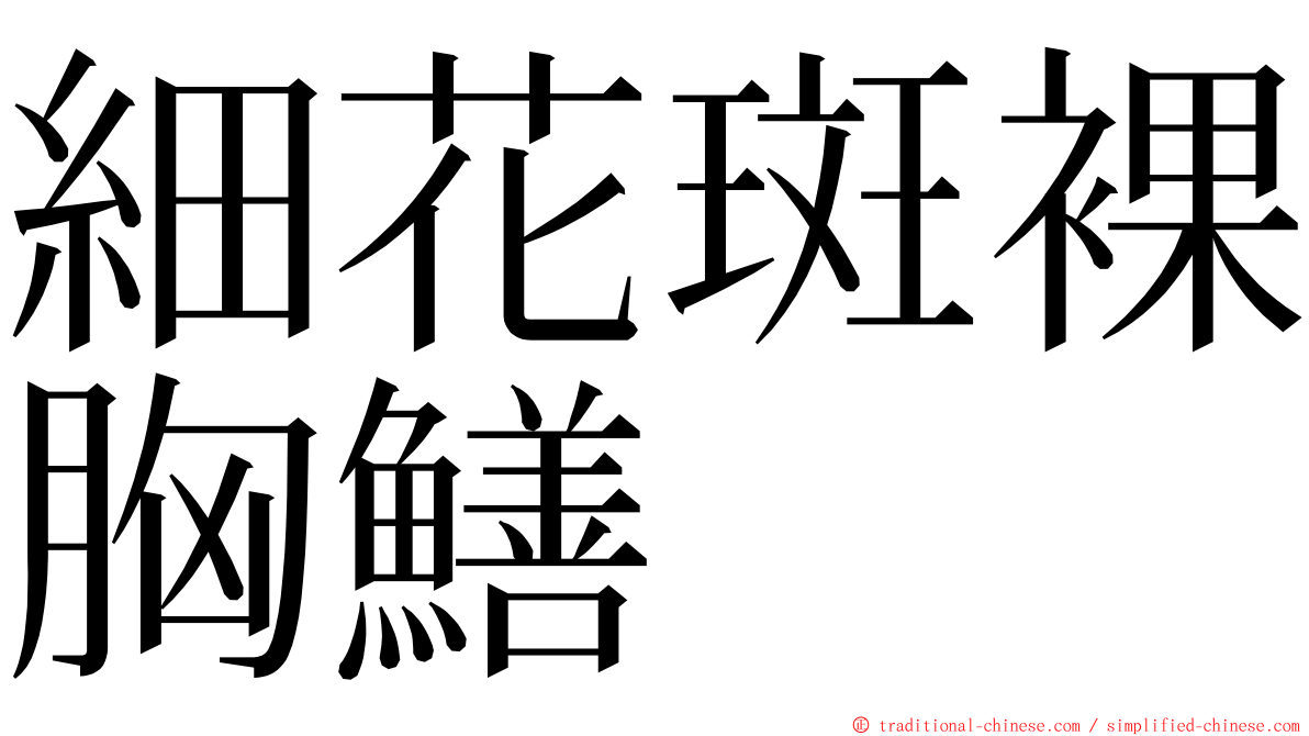 細花斑裸胸鱔 ming font