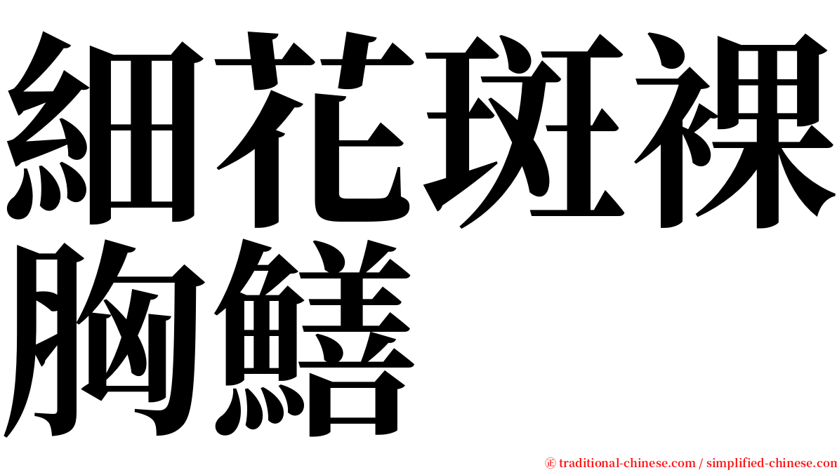 細花斑裸胸鱔 serif font